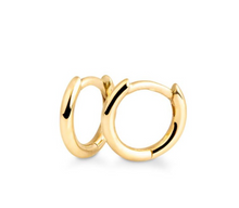 Load image into Gallery viewer, 14k Gold High Polish Petite Hoop Earrings
