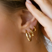 Load image into Gallery viewer, Sif Jakobs 18k Gold Plated Sterling Silver Hoop Earrings
