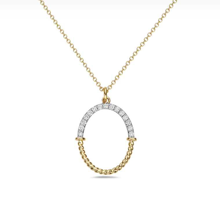 14k Gold Half Diamond & Half Rope Negative Space Oval Necklace