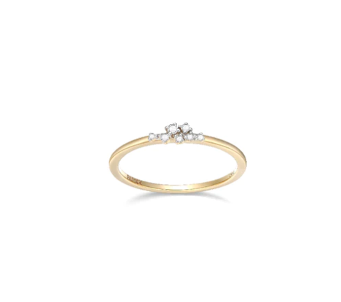 14k Yellow Gold Scattered Diamond Ring (SI5008)