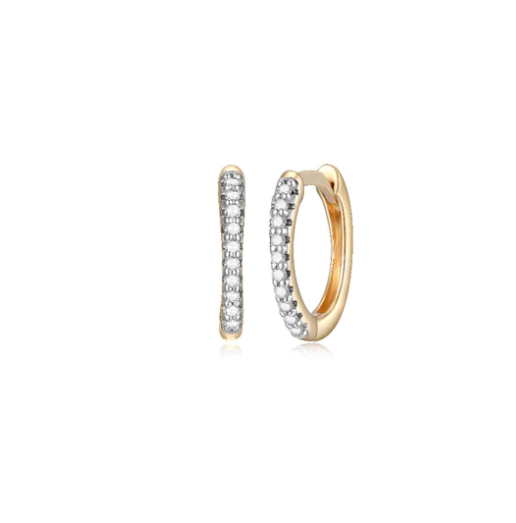 14k Yellow Gold Diamond Small Hoop Earrings (I8348)